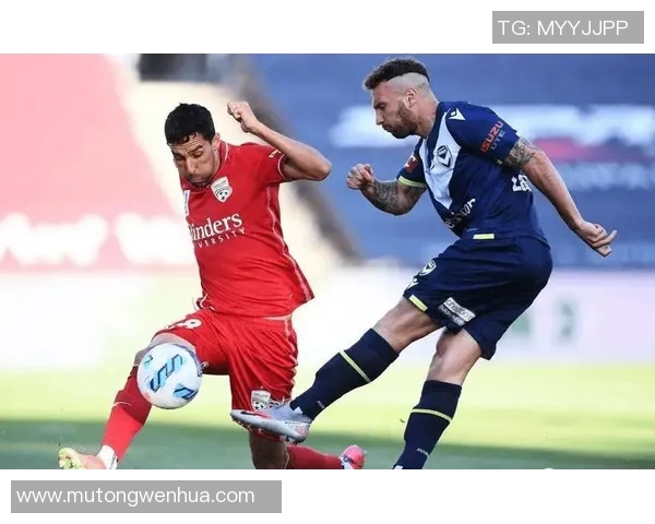 阿德莱德36人迎战墨尔本联全力争胜精彩对决即将上演 阿德莱德36人迎战墨尔本联全力争胜精彩对决即将上演