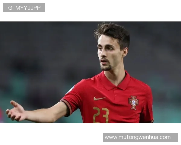 葡萄牙与荷兰比赛前瞻及比分预测分析推荐 葡萄牙与荷兰比赛前瞻及比分预测分析推荐