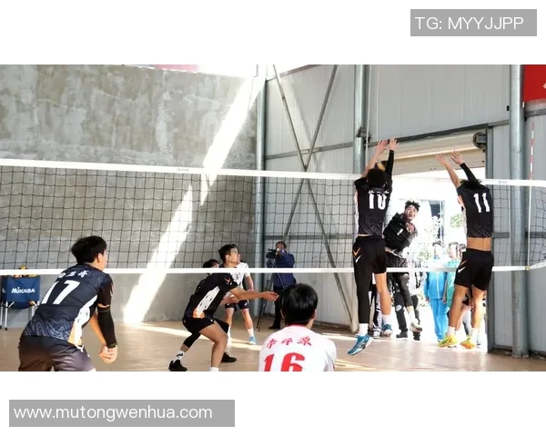 南京排球队创历史新高排球速度排名引发热议 南京排球队创历史新高排球速度排名引发热议