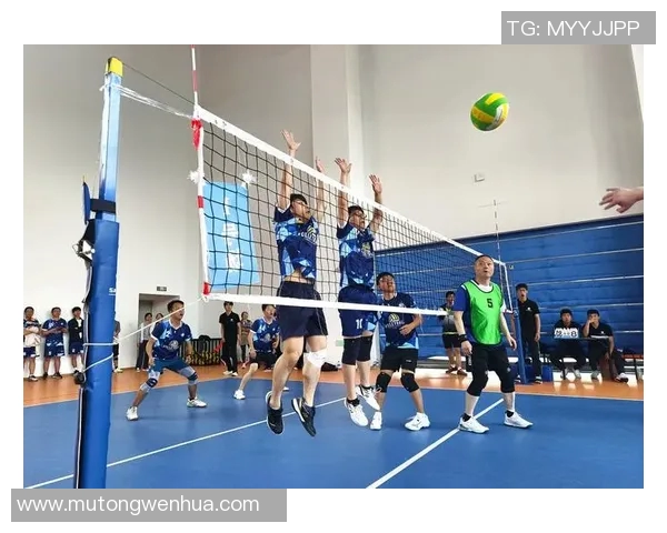 深圳排球队在全国排球团队协作排行榜中荣获第七名的佳绩 深圳排球队在全国排球团队协作排行榜中荣获第七名的佳绩