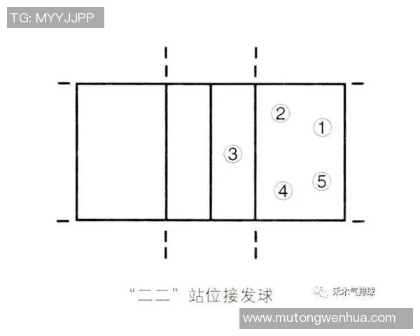 排球新手必看：提升灵活性的全面入门攻略与技巧分享