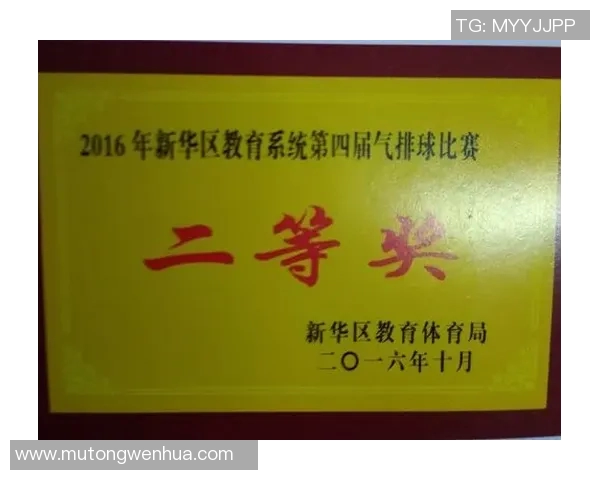 张军排球生涯回顾与展望对话分享运动精神与人生哲学