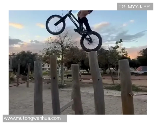 极限运动的魅力与挑战:探秘杭州极限运动队的全方位压制策略