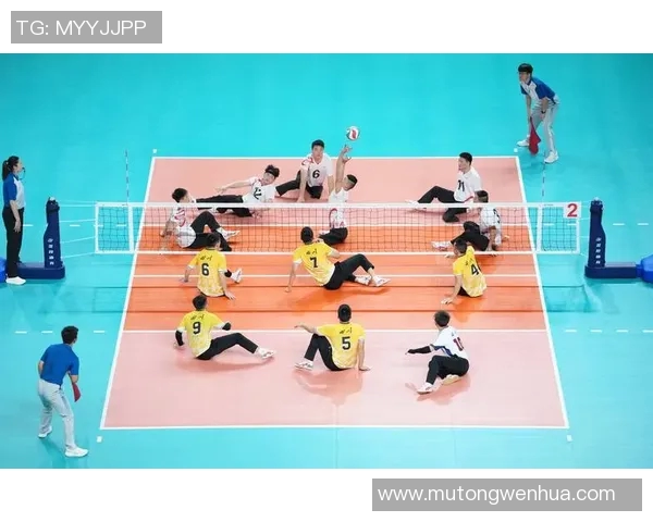 杭州排球队心理素质排名第三揭秘排球运动员的心理抗压能力