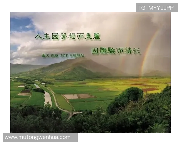 深度对话赵芳的网球人生与梦想追逐的心路历程