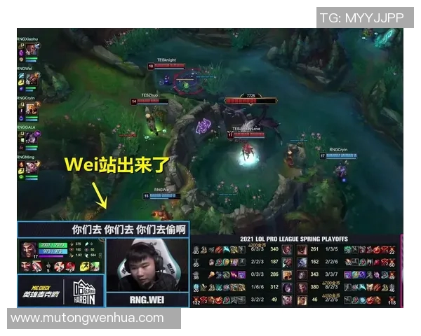 赛后复盘：RNG与TES对决中的战术分析与经验总结